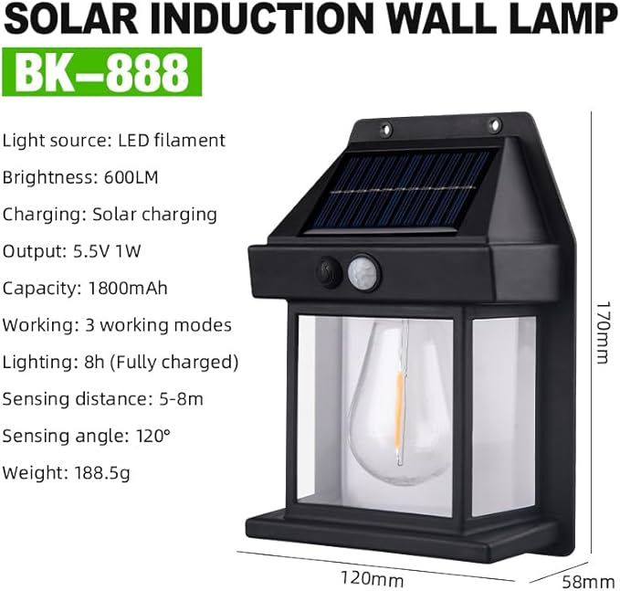 Black Outdoor Solar Motion Sensing Exterior Wall Lamp 1W